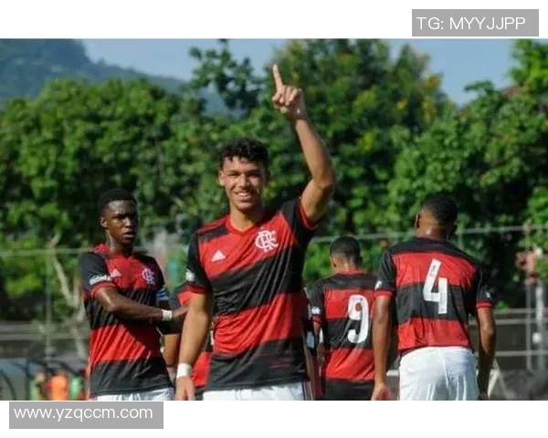 弗拉门戈与约森独立的激烈对决展现足球魅力与团队精神