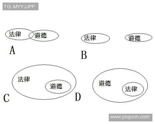 戈多伊与防御正义的较量探讨法律与道德的边界与冲突