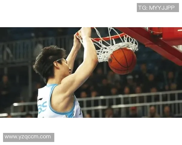 赵泰隆：从篮球新星到职业生涯巅峰的华丽转身与奋斗历程