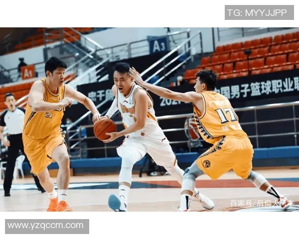 北体大与陕西队精彩对决直播全程回顾与赛后分析